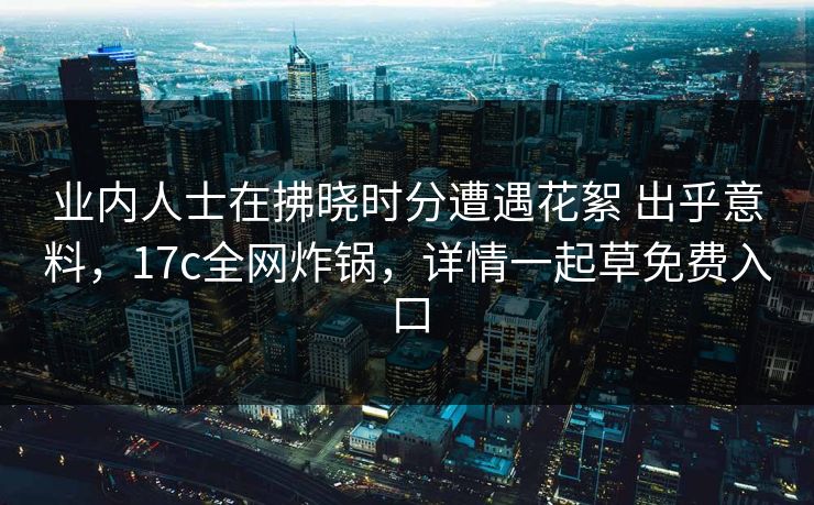 业内人士在拂晓时分遭遇花絮 出乎意料，17c全网炸锅，详情一起草免费入口