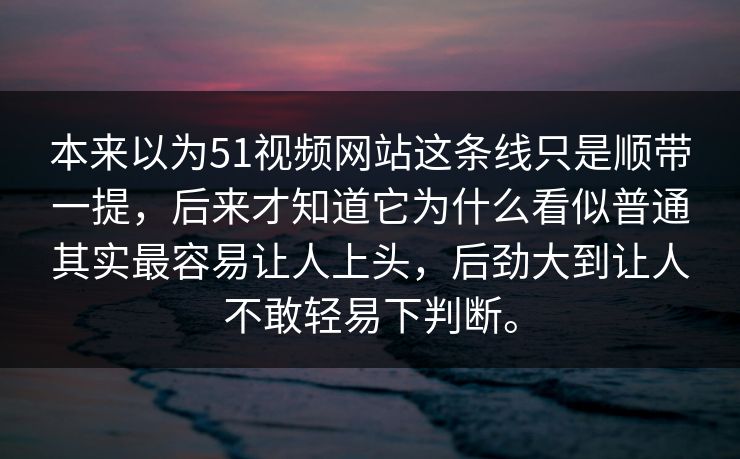 本来以为51视频网站这条线只是顺带一提，后来才知道它为什么看似普通其实最容易让人上头，后劲大到让人不敢轻易下判断。